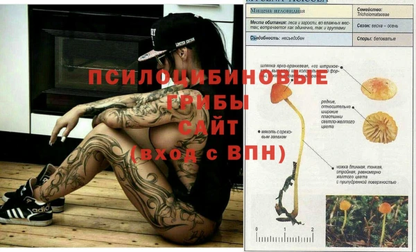 а пвп мука Няндома