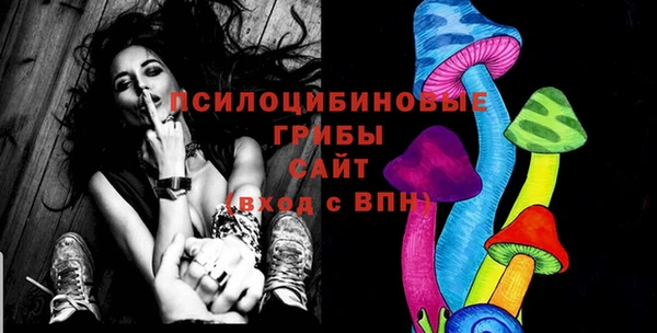 ешки Осинники