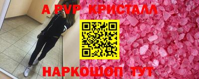 стаф Кингисепп