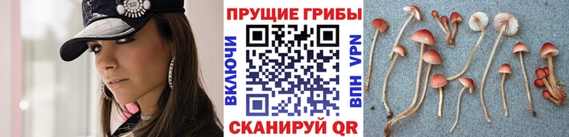 площадка как зайти  где можно купить наркотик  Лангепас  Псилоцибиновые грибы GOLDEN TEACHER 