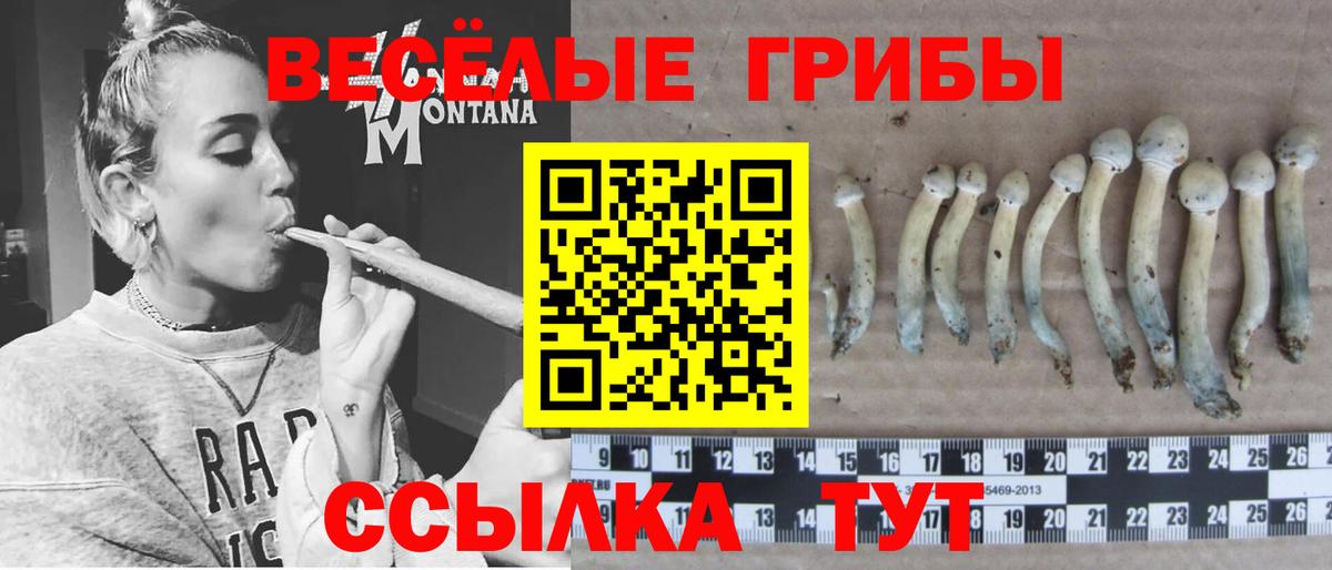 Галлюциногенные грибы Psilocybe Лангепас